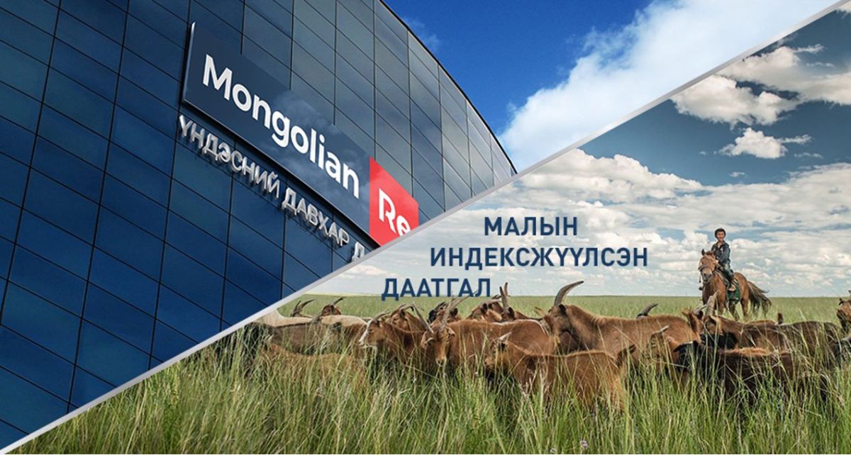 МАЛЧИД МАЛЫН ИНДЕКСЖҮҮЛСЭН ДААТГАЛЫН ҮР ШИМИЙГ АМСАЖ БАЙНА