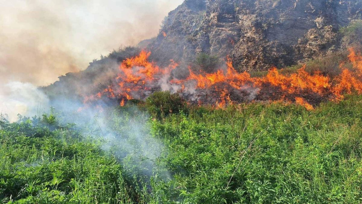 СЭЛЭНГЭ АЙМГИЙН НУТАГТ 24 ГОЛОМТОД ТҮЙМЭРТЭЙ БАЙНА