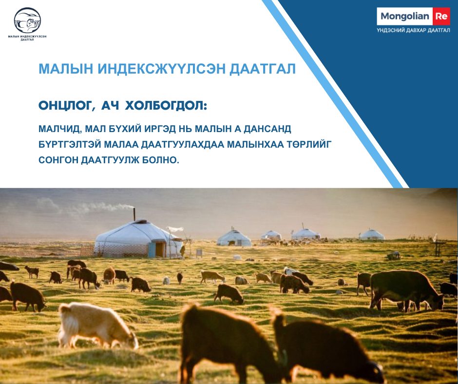 МАЛЫН ИНДЕКСЖҮҮЛСЭН ДААТГАЛЫН НӨХӨН ТӨЛБӨРИЙН ЗӨВЛӨГӨӨ