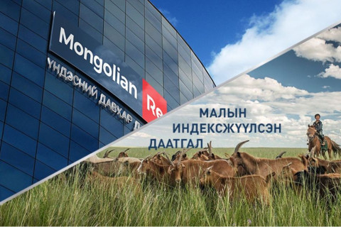 МАЛЧИД МАЛЫН ИНДЕКСЖҮҮЛСЭН ДААТГАЛЫН ҮР ШИМИЙГ АМСАЖ БАЙНА