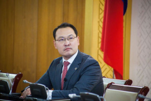 ЭЦГИЙН ТАЧААЛ, ЭХИЙН ХҮСЭЛ
