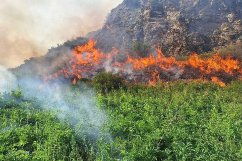 СЭЛЭНГЭ АЙМГИЙН НУТАГТ 24 ГОЛОМТОД ТҮЙМЭРТЭЙ БАЙНА