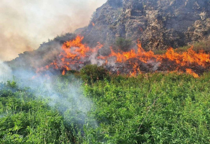 СЭЛЭНГЭ АЙМГИЙН НУТАГТ 24 ГОЛОМТОД ТҮЙМЭРТЭЙ БАЙНА