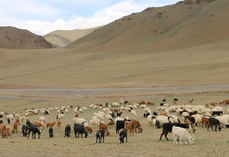 МОНГОЛЫН БЭЛЧЭЭР БА МАЛ АЖ АХУЙН ОРЧИН ЦАГИЙН ТӨЛӨВ БАЙДАЛ