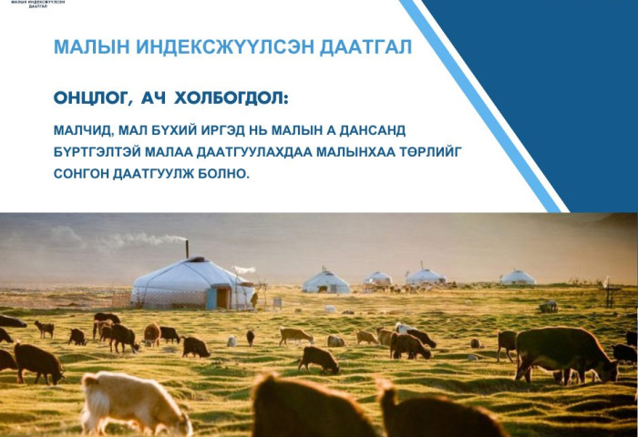 МАЛЫН ИНДЕКСЖҮҮЛСЭН ДААТГАЛЫН НӨХӨН ТӨЛБӨРИЙН ЗӨВЛӨГӨӨ
