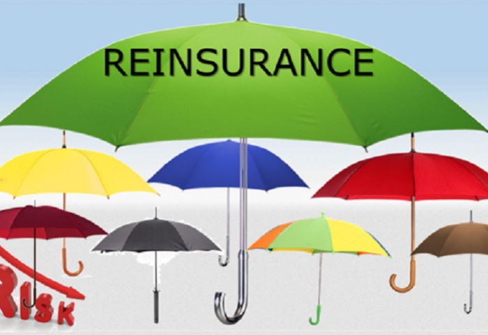 ДАВХАР ДААТГАЛ ГЭЖ ЮУ ВЭ