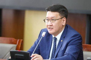 БОДЫН БЭЛЧЭЭРТ ИДЭЭШЛЭХ БОГ