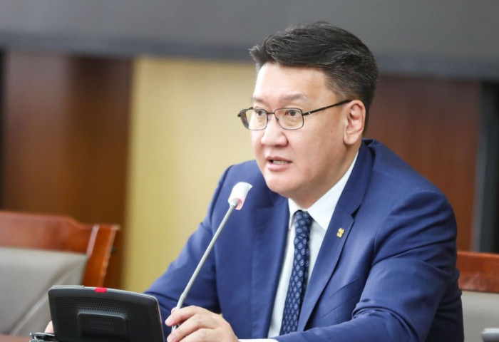 БОДЫН БЭЛЧЭЭРТ ИДЭЭШЛЭХ БОГ