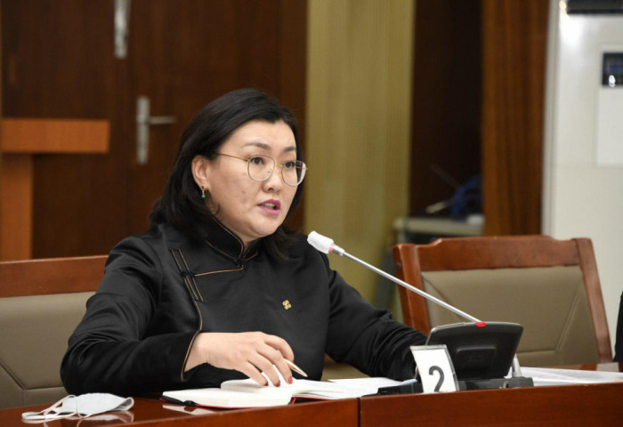 Статистикийн хөөстэй тоон дотроос тодорсон “ҮСЭГ”