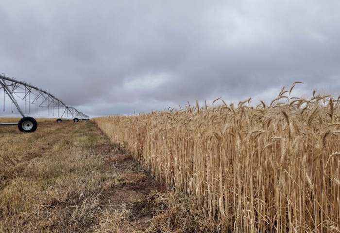 Д.Амарбаясгалан тэглэчихсэн, одоо бас юу вэ