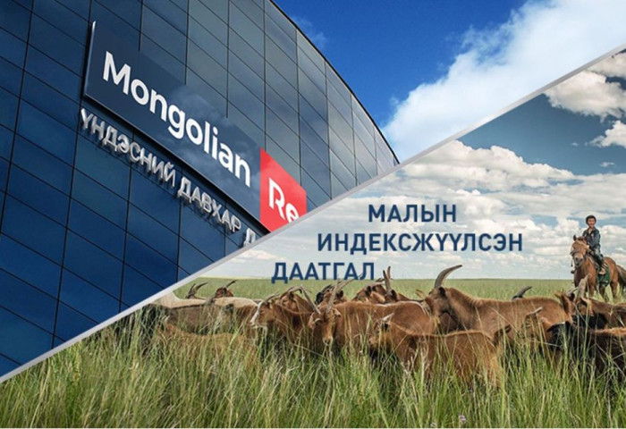 МАЛЧИД МАЛЫН ИНДЕКСЖҮҮЛСЭН ДААТГАЛЫН ҮР ШИМИЙГ АМСАЖ БАЙНА