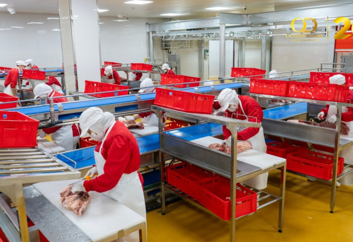 “ОЧИРДАГИНАС“ КОМПАНИЙН ЭКСПОРТЫН ҮЙЛДВЭРИЙН ЦОГЦОЛБОР АШИГЛАЛТАД ОРЛОО